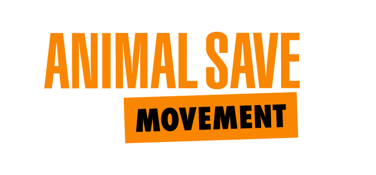 animal2